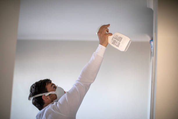 Reliable Whitesboro, NJ Mold Remediation Solutions